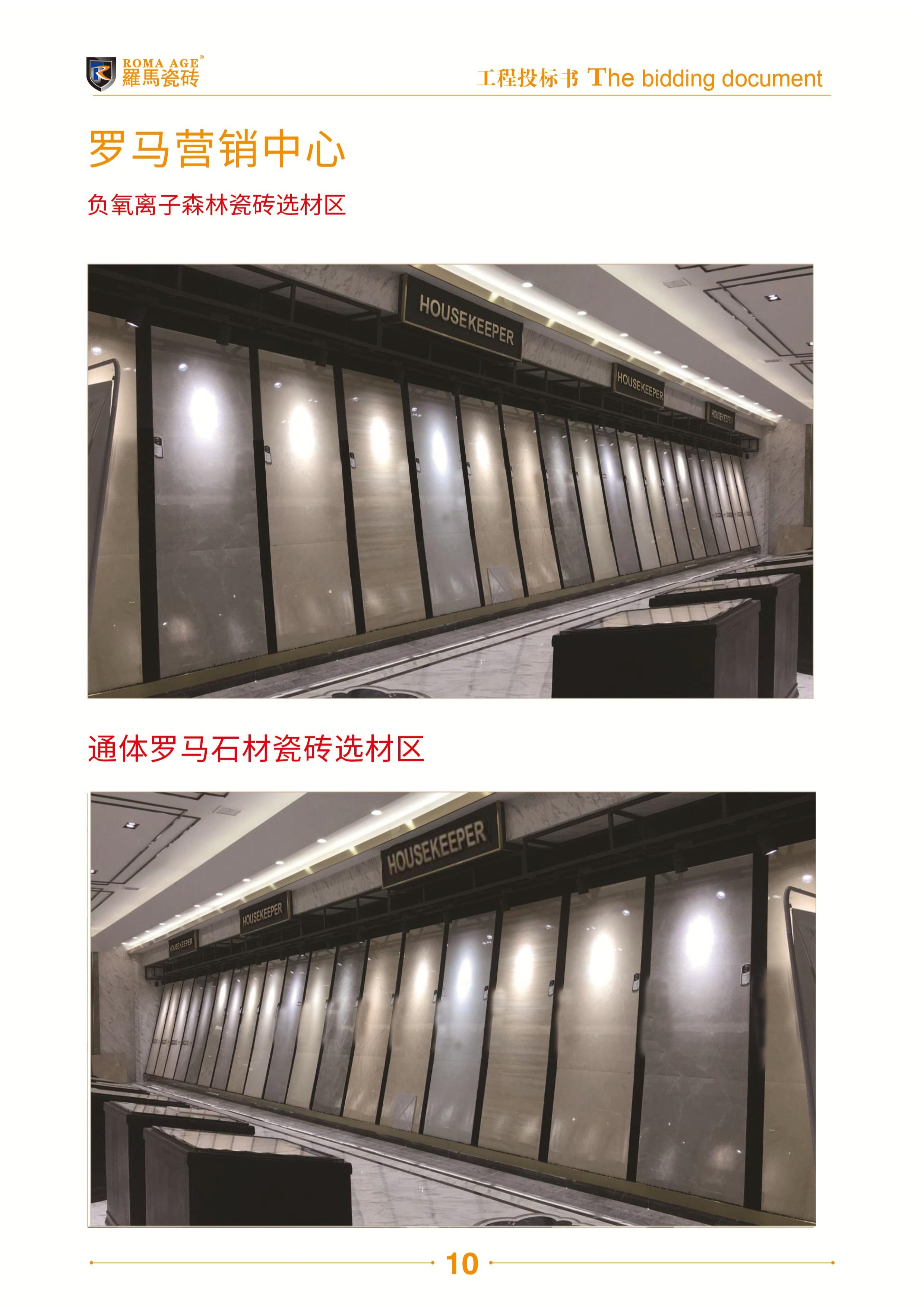 罗马工程投标书_11.jpg